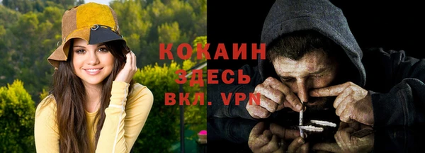 хмурый Абаза