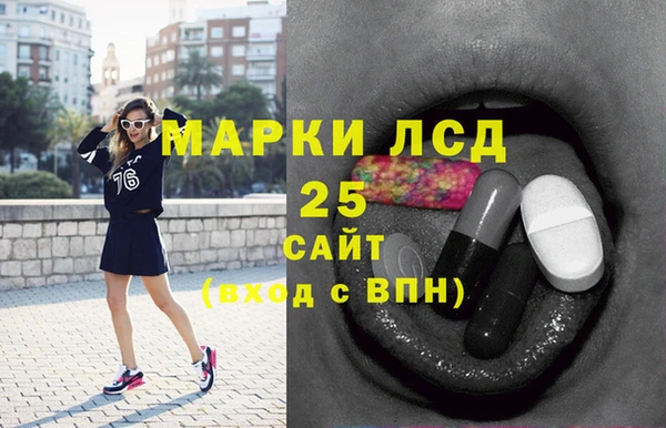 хмурый Абаза