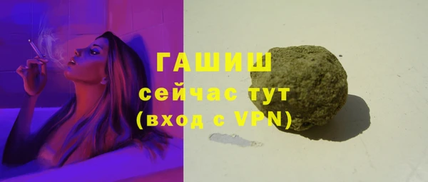 хмурый Абаза