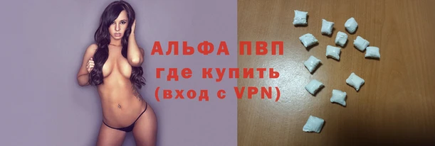 хмурый Абаза