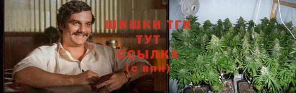 хмурый Абаза