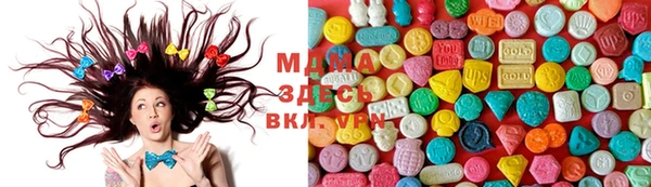 хмурый Абаза